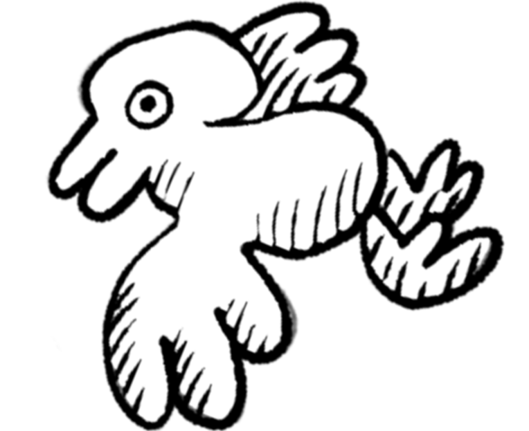 bird